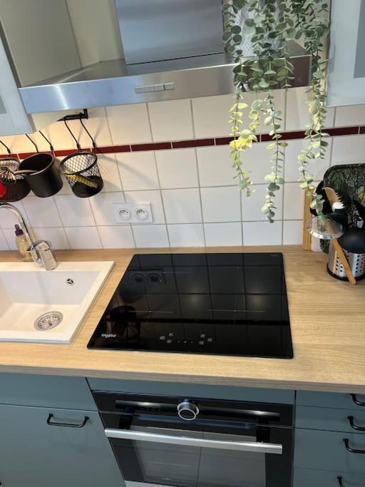 Adorable Appartement Strasbourg Neudorf Parking Sous Sol Εξωτερικό φωτογραφία