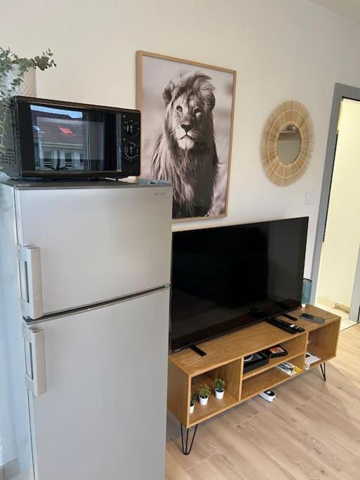 Adorable Appartement Strasbourg Neudorf Parking Sous Sol Εξωτερικό φωτογραφία